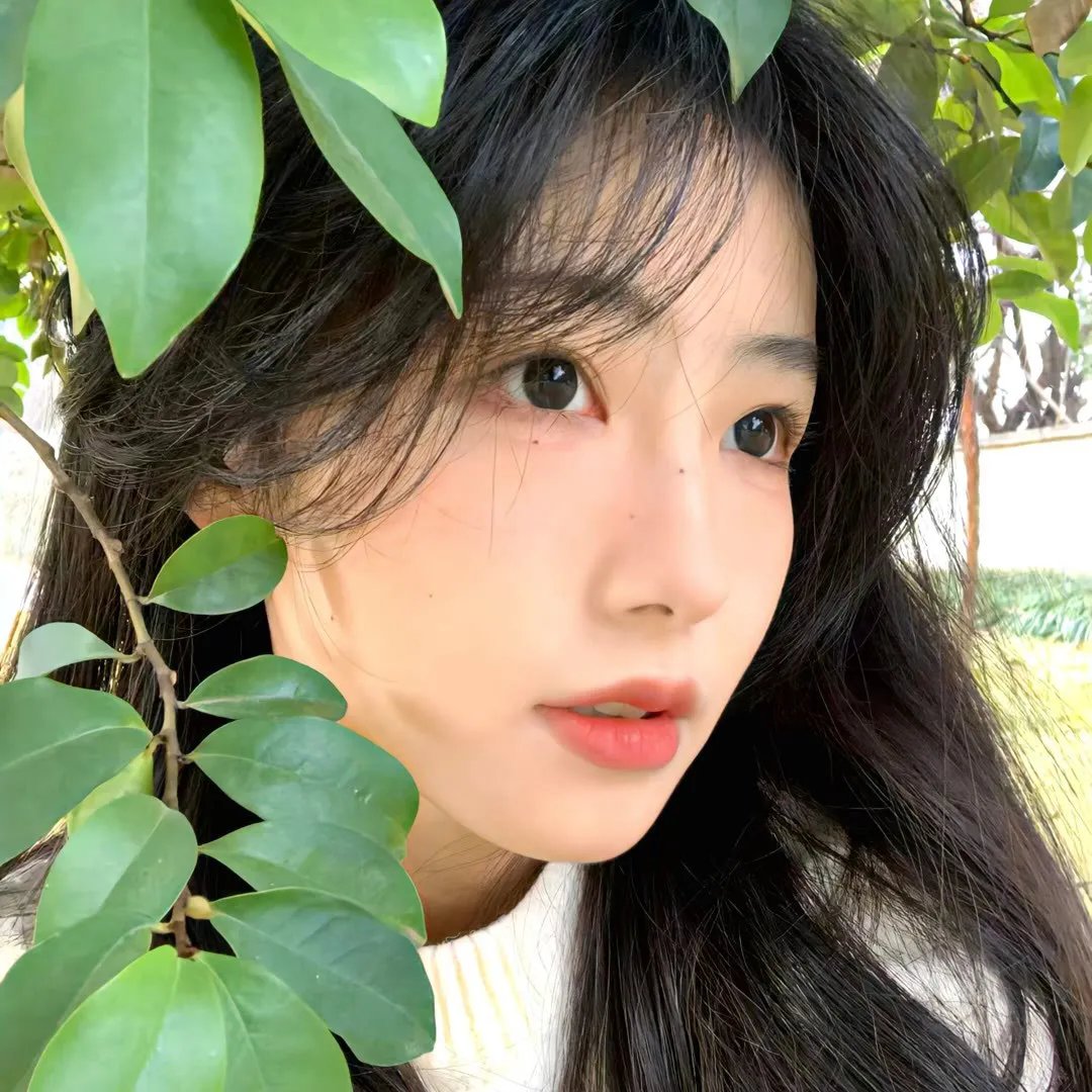 我们不会白头到老